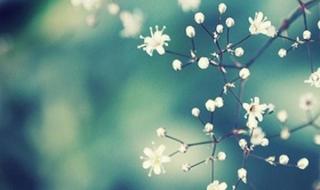 我会好好过 我会好好过