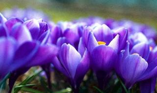 能把自己看到湿的说说 能把自己看到湿的说说